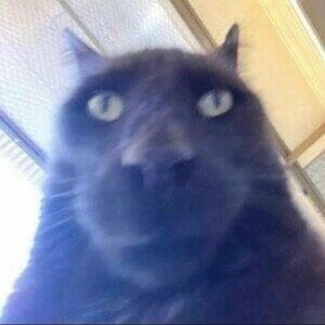 Profile photo of Çağın Türkmen