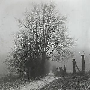 Profile photo of Cem S