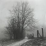 Profile photo of Cem