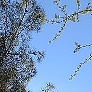 Profile photo of Umut Kaan İnce