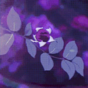 Profile photo of Cem Arslan