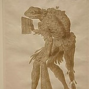 Profile photo of Deniz Özden