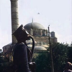 Profile photo of Çağatay Özevim